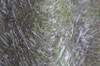 Farr fibreglass roof work